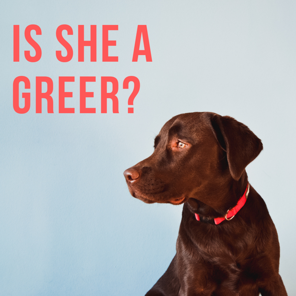 Is she a Greer?