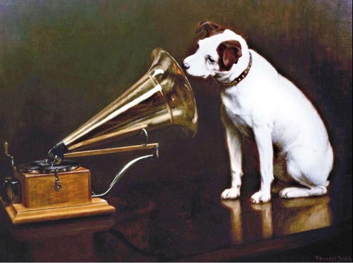 Did you know dogs enjoy music? 