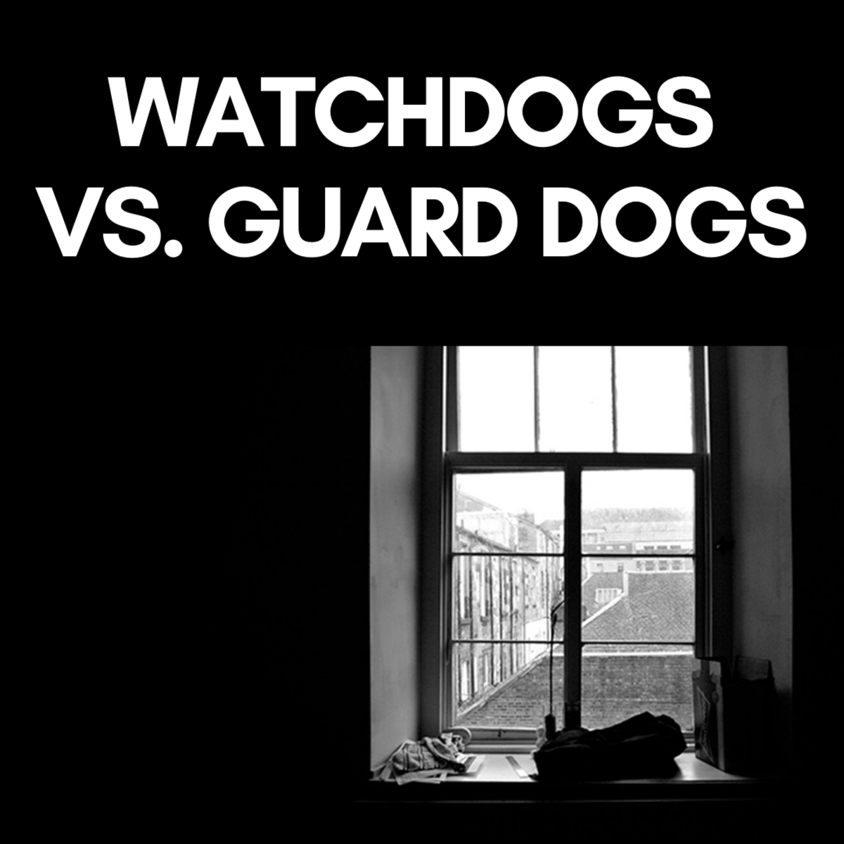8 Awesome Guard Dog Breeds That Do Not Shed Much PetHelpful