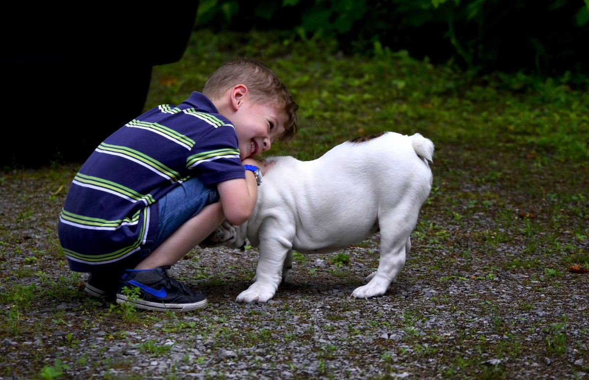 Puppy's Joyful, Not Stressful Holidays