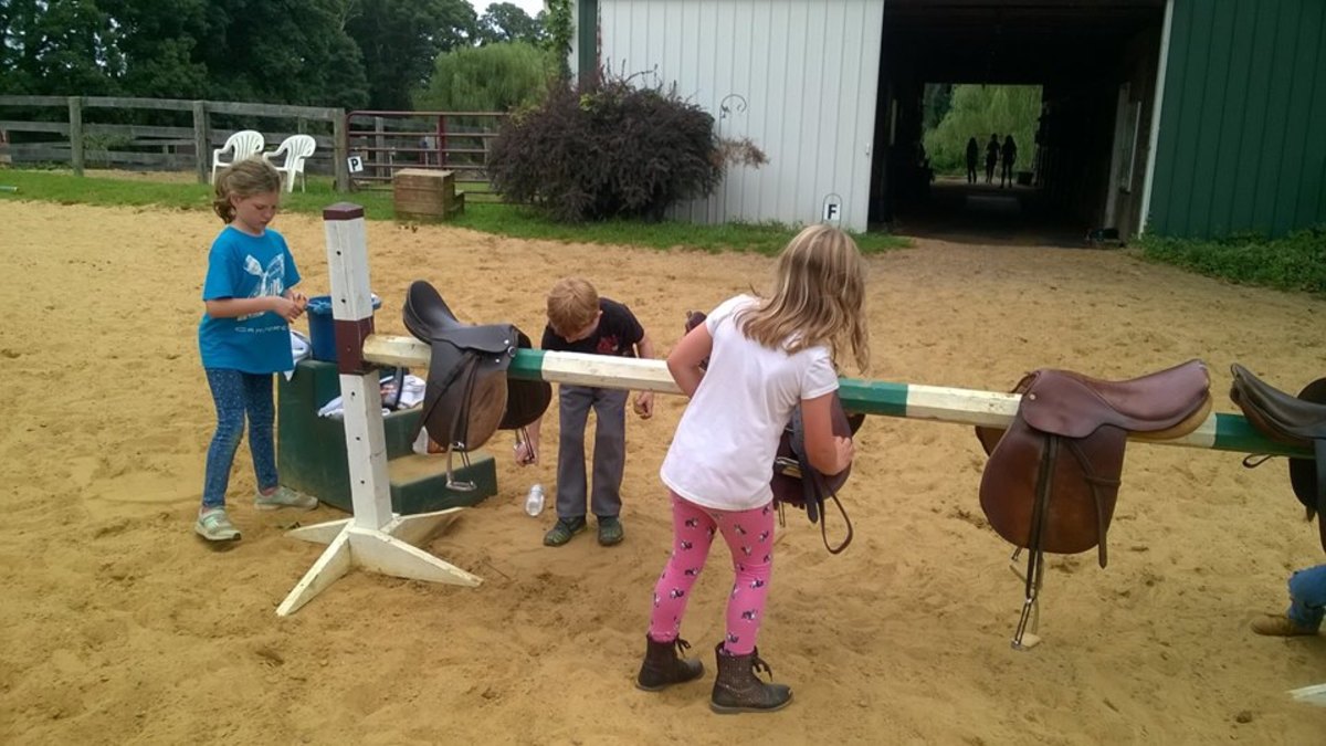 They would rather do horse work than housework.