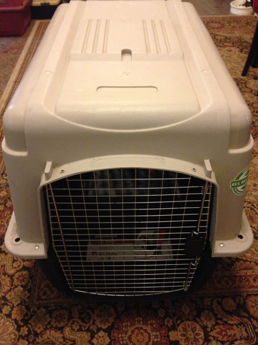 700 dog crate