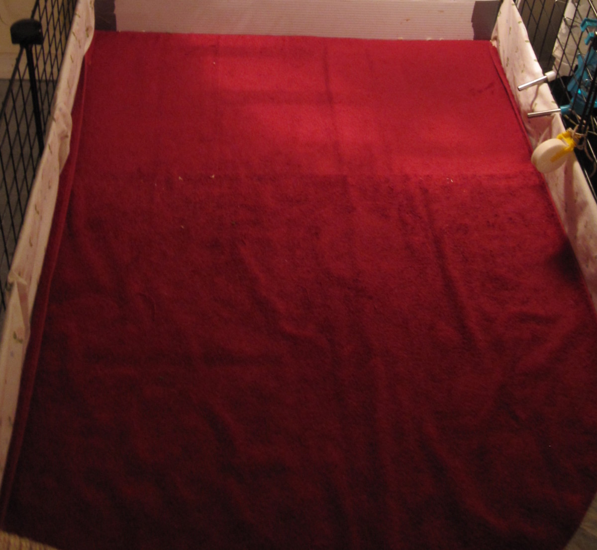 Their little red carpet. It will be changed today, so I will dust it off instead of using the lint roller to clean their fur off of the towel.