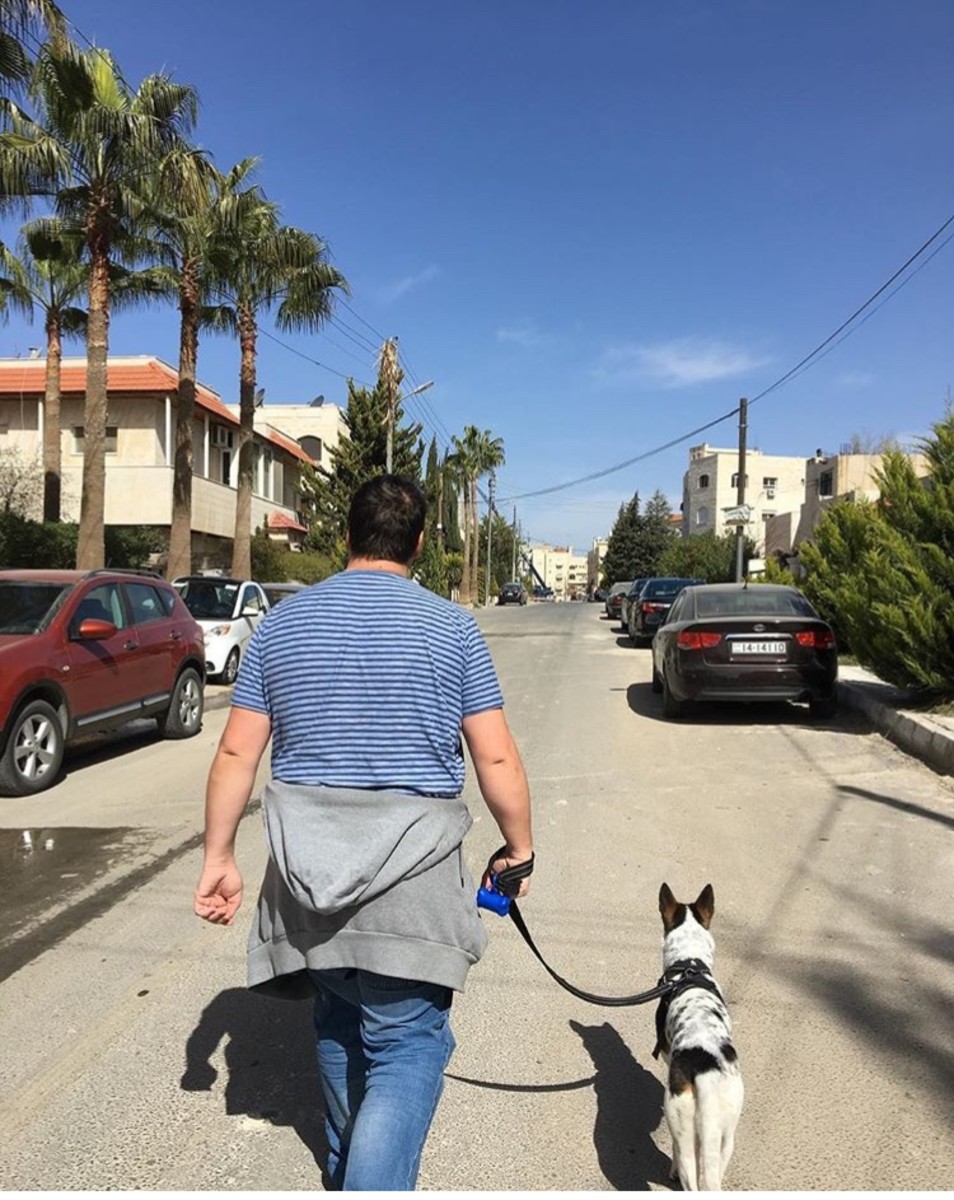 How to Fly With a Dog From the UK to Jordan PetHelpful