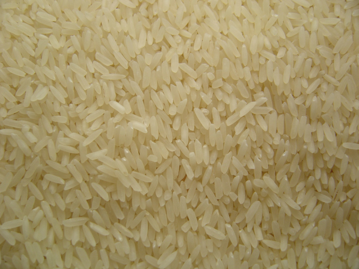 Rice, though a grain, is gluten-free and many 'grain-free' dogs can eat it