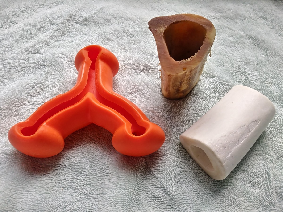 These are some of the hollow bones and toys I fill with frozen food for my dog. The orange one is a Kong toy with 2 identical hollow sides.