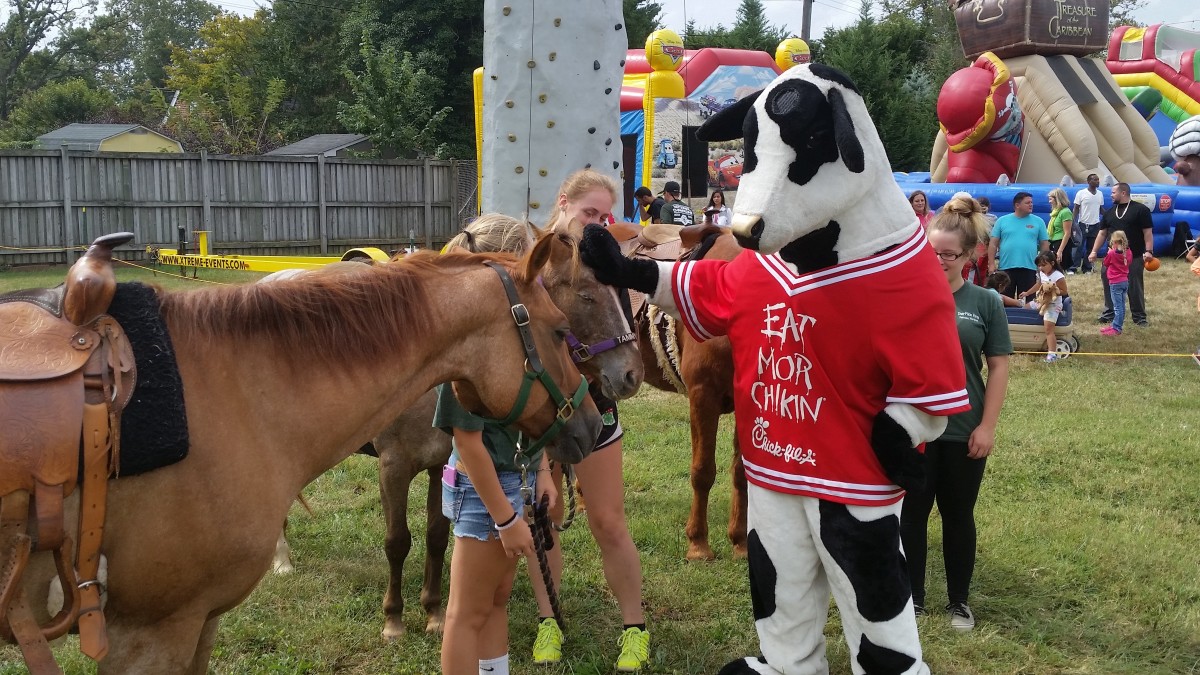 What would your ponies think of the chick-fil-a cow? They look okay with it in this picture, but most definitely were wary at first.