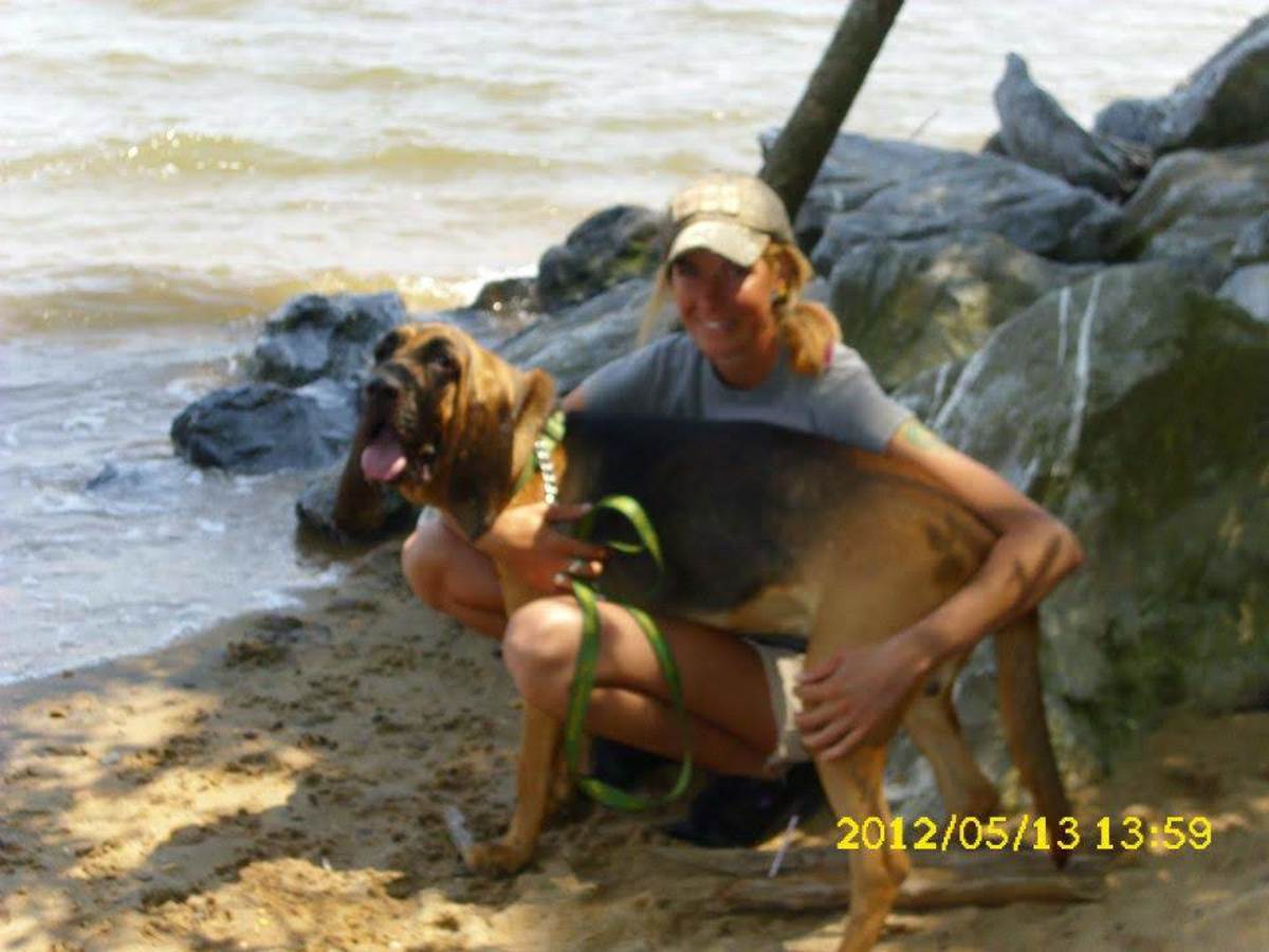 Isaac again. This is me trying to convince him the Chesapeake Bay would be fun to play in.  never did get him to try it!