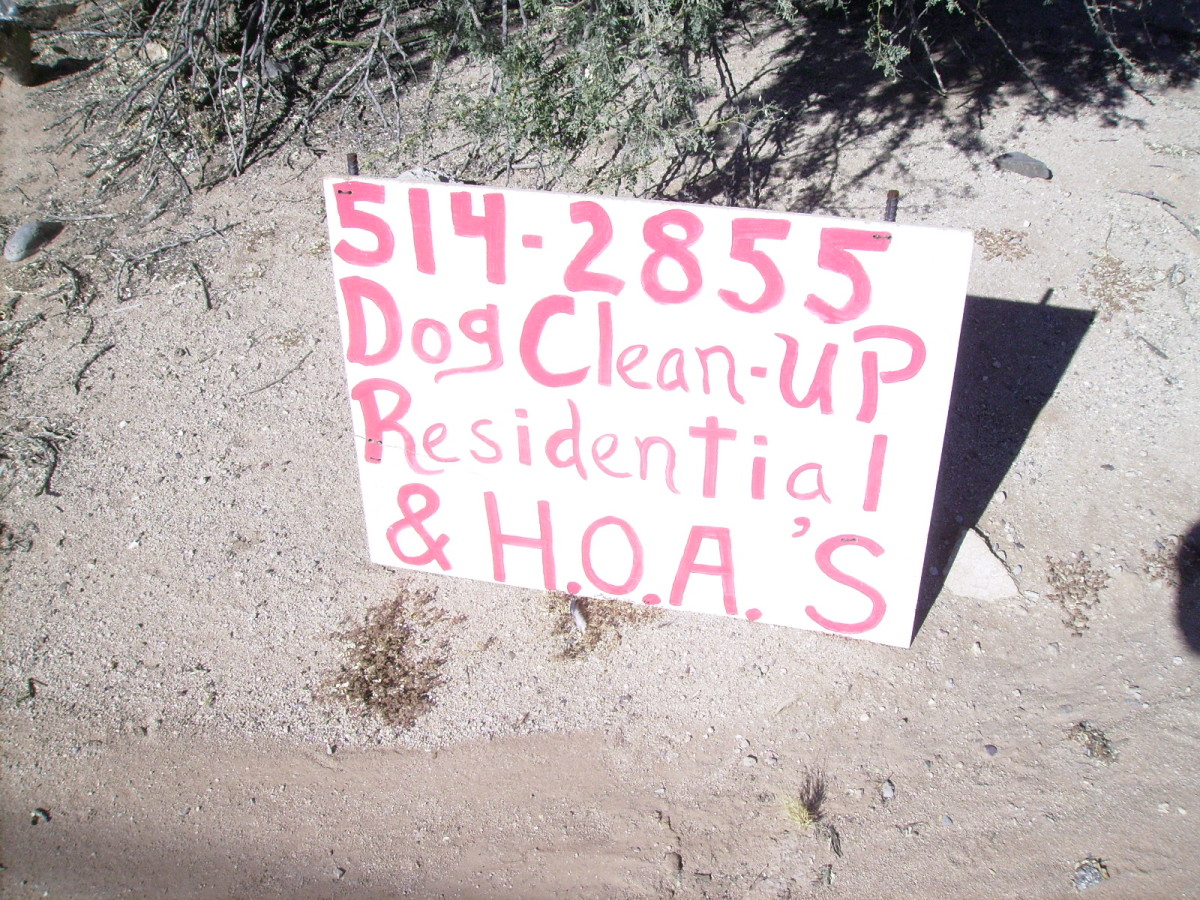 Dog Cleanup: A part-time job created by the need to clean up after our dogs.