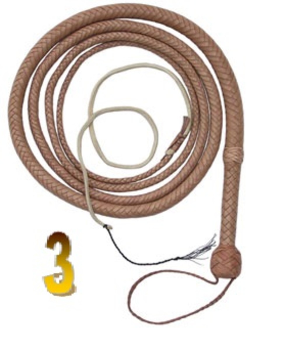 Item 3—Bullwhip.  A bullwhip is useful as a good attention-getter at meetings and doubles as a fashionable accessory with office formal wear.