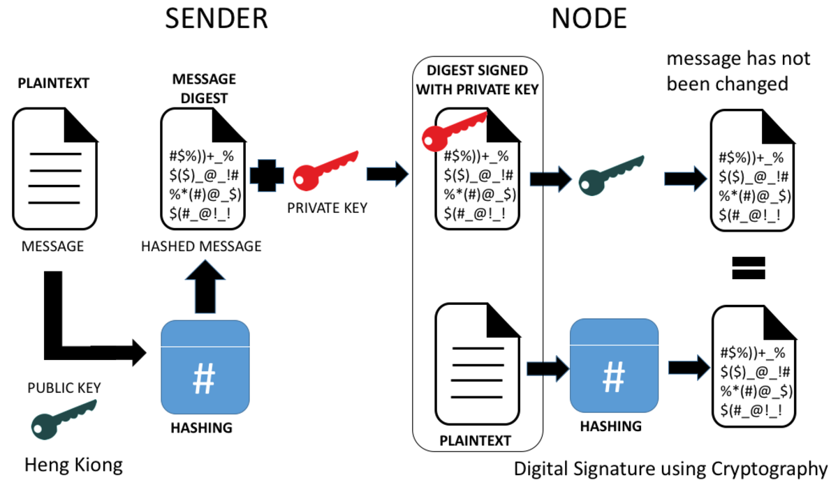 Blockchain Cryptography And Digital Signatures ToughNickel