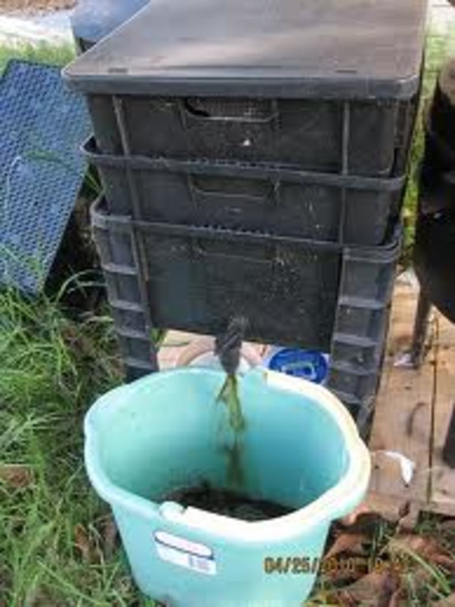 Spouts on worm bins make collecting worm tea an easy chore.