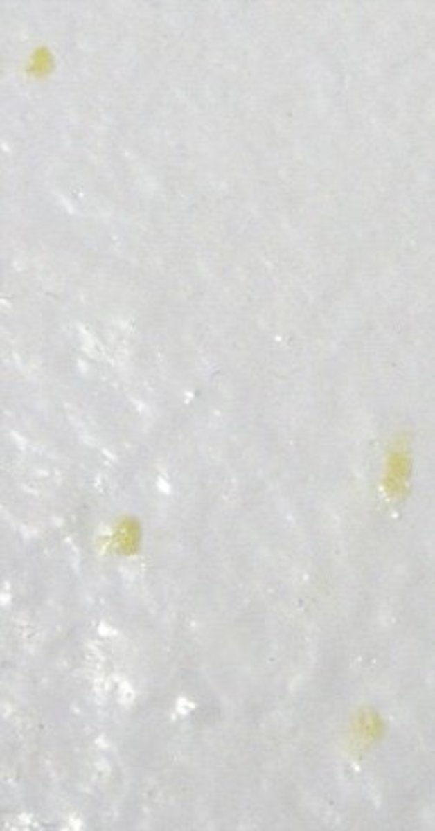 Nicotene stain on bathroom walls of smokers home