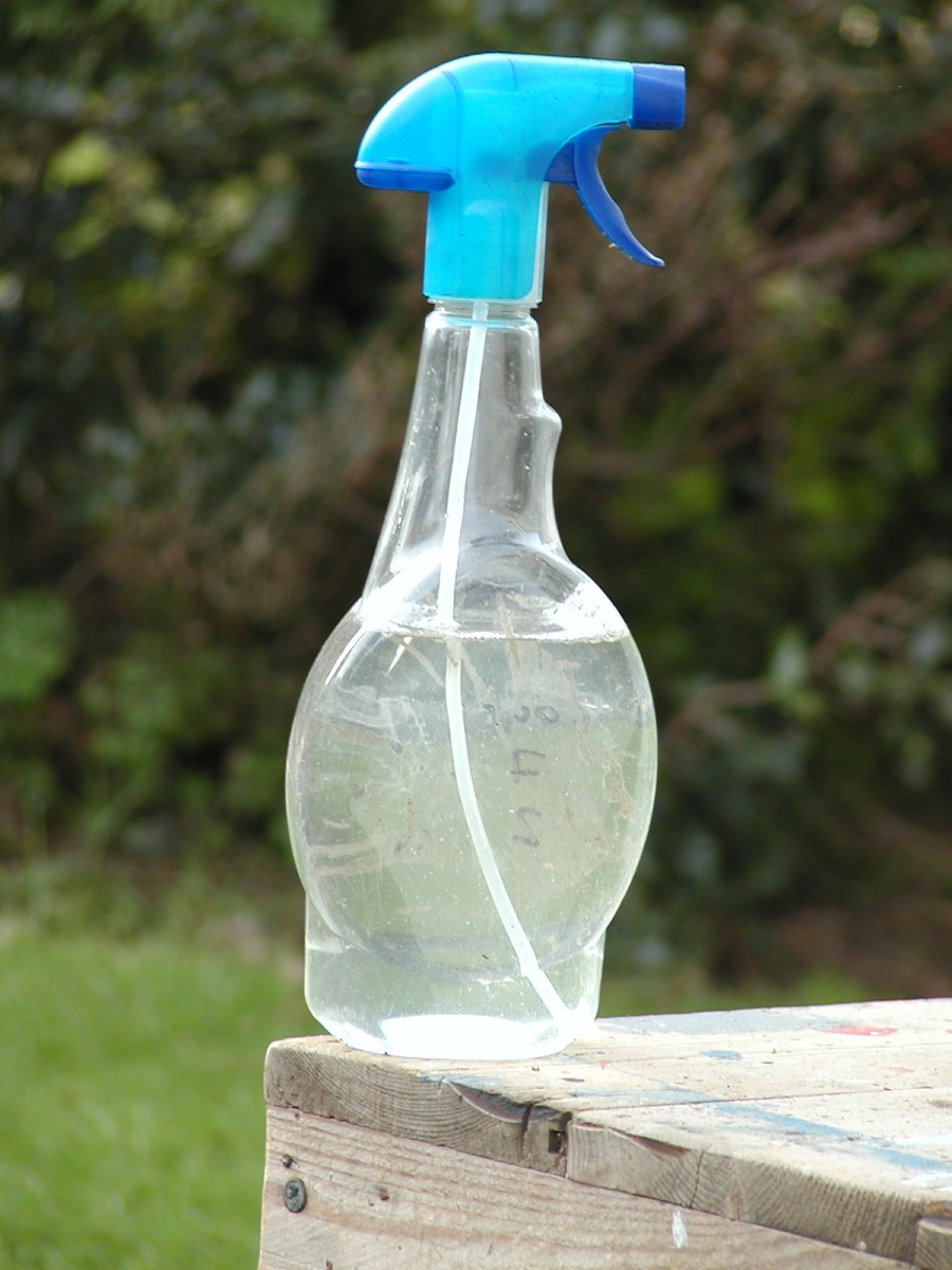 Empty spray bottles which contained window cleaner are excellent for misting plants or spraying weedkiller - Make sure to label them appropriately