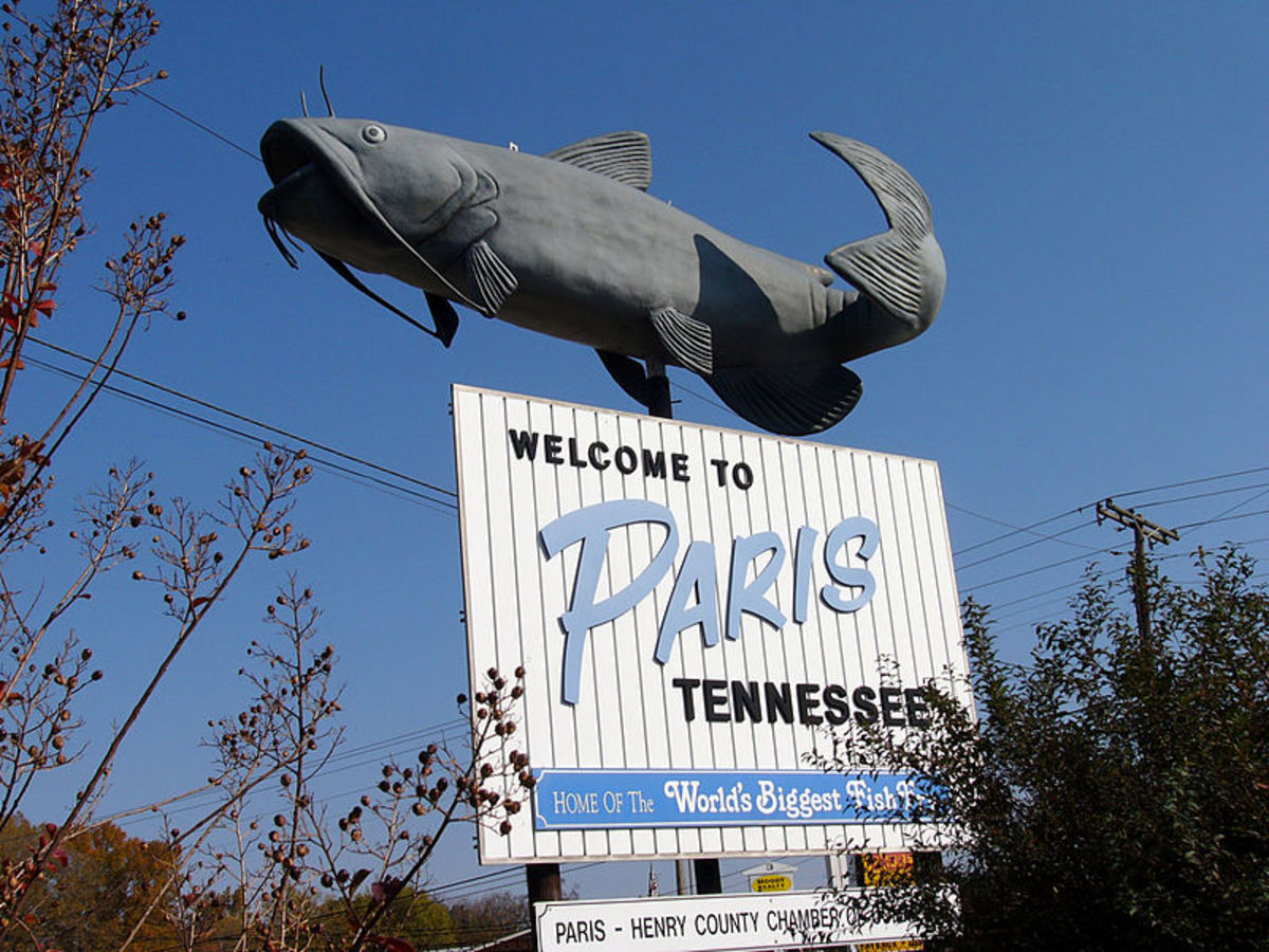 best-places-for-retirement-work-and-relocation-paris-tn-home-of-the-worlds-largest-fish-fry