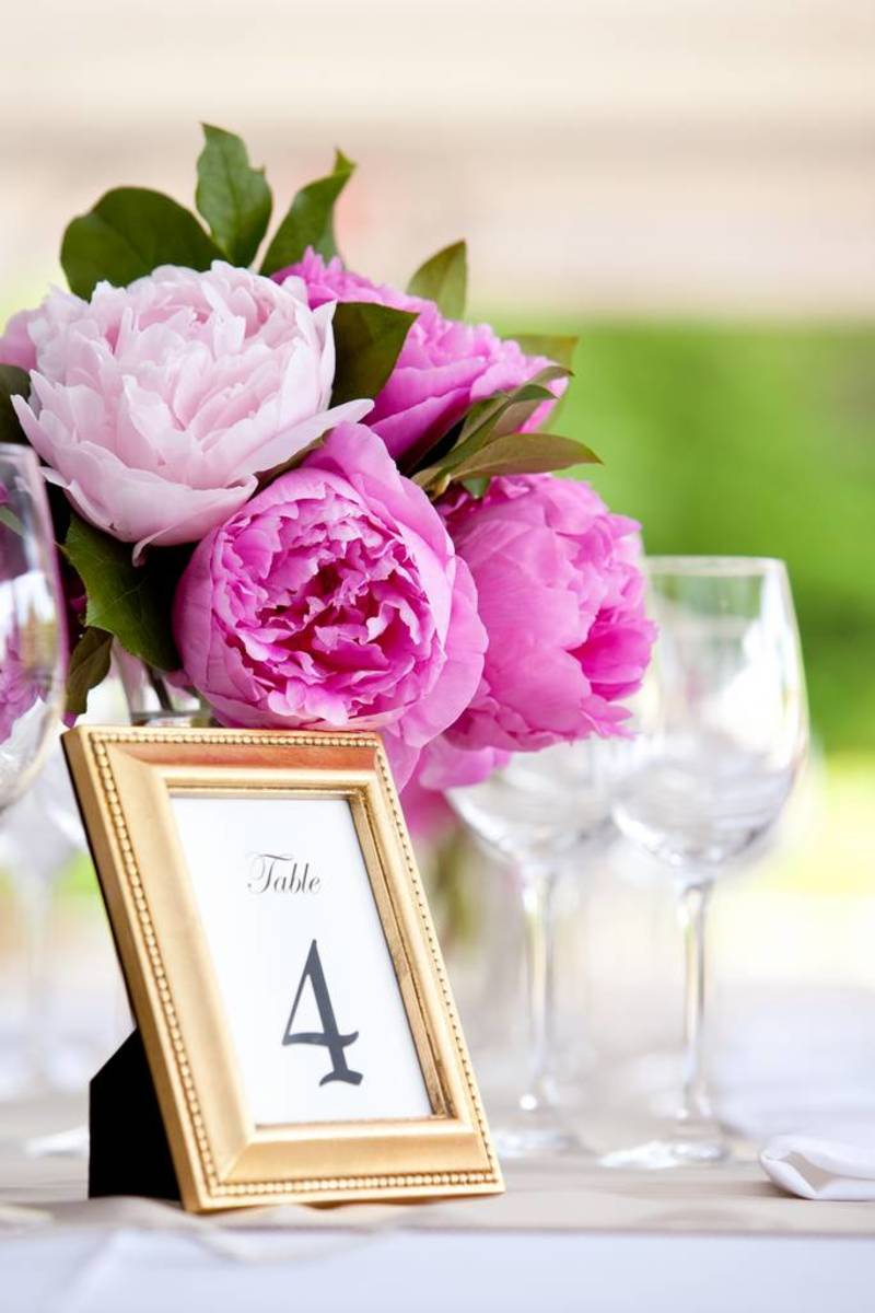 30 Wedding Event Planning Business Names ToughNickel