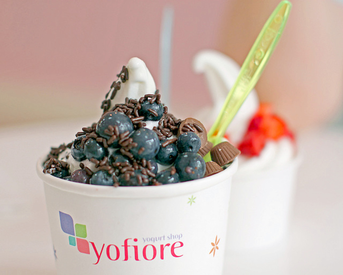 frozen-yogurt-shop-names