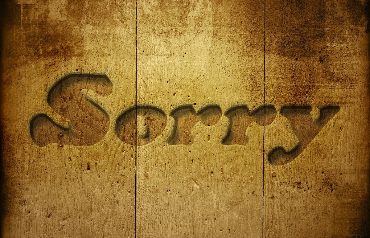 Say you're sorry!