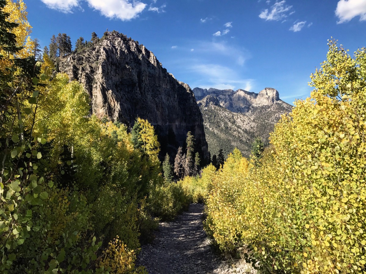 Cathedral Rock Trail on Mount Charleston in the fall.