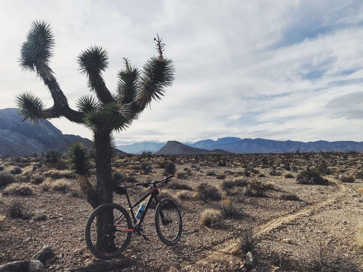 Mountain biking in northwest Las Vegas in January.