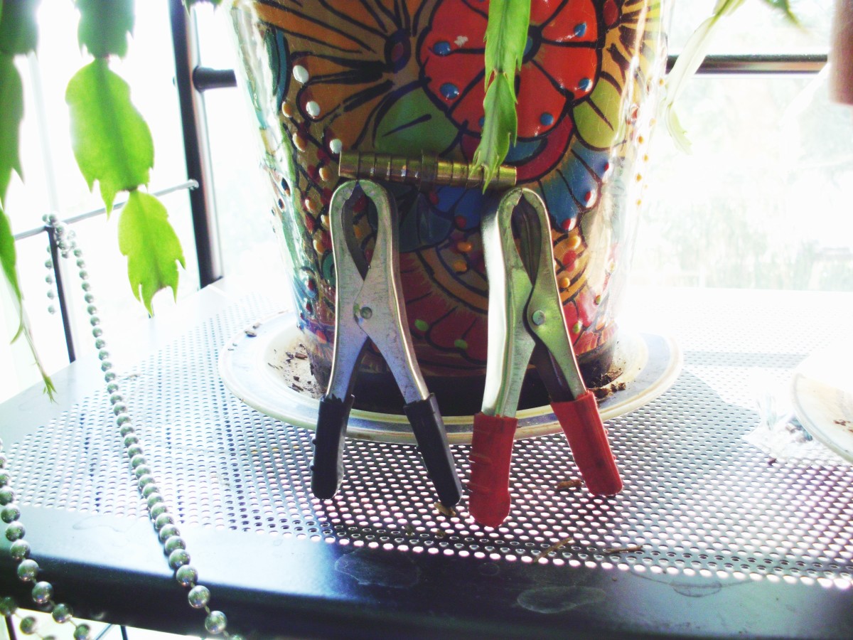 Battery charging clips and a hose coupling