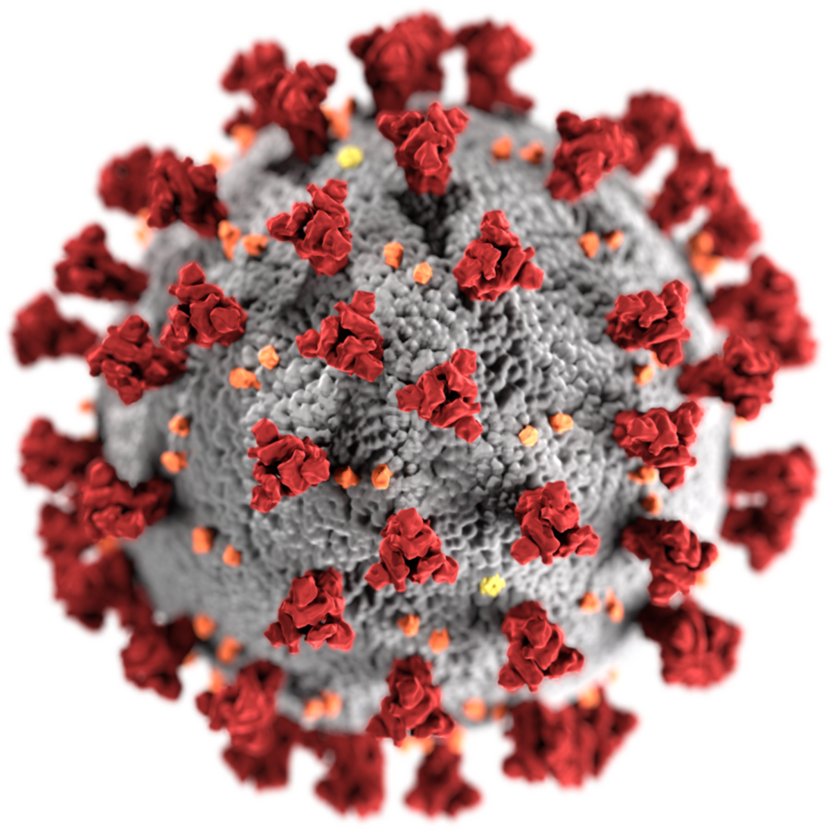 Though aesthetically beautiful, the coronavirus probably won't do pretty things to your lungs if you get it.
