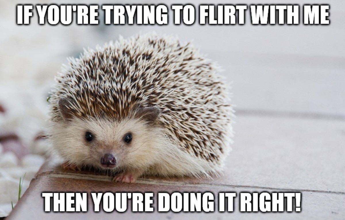 If you're trying to flirt with me, then you're doing it right!