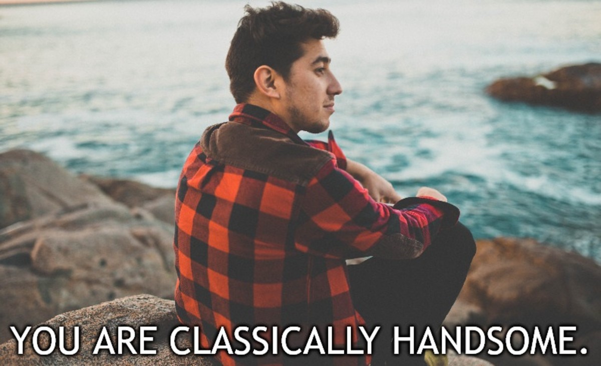 You are classically handsome.