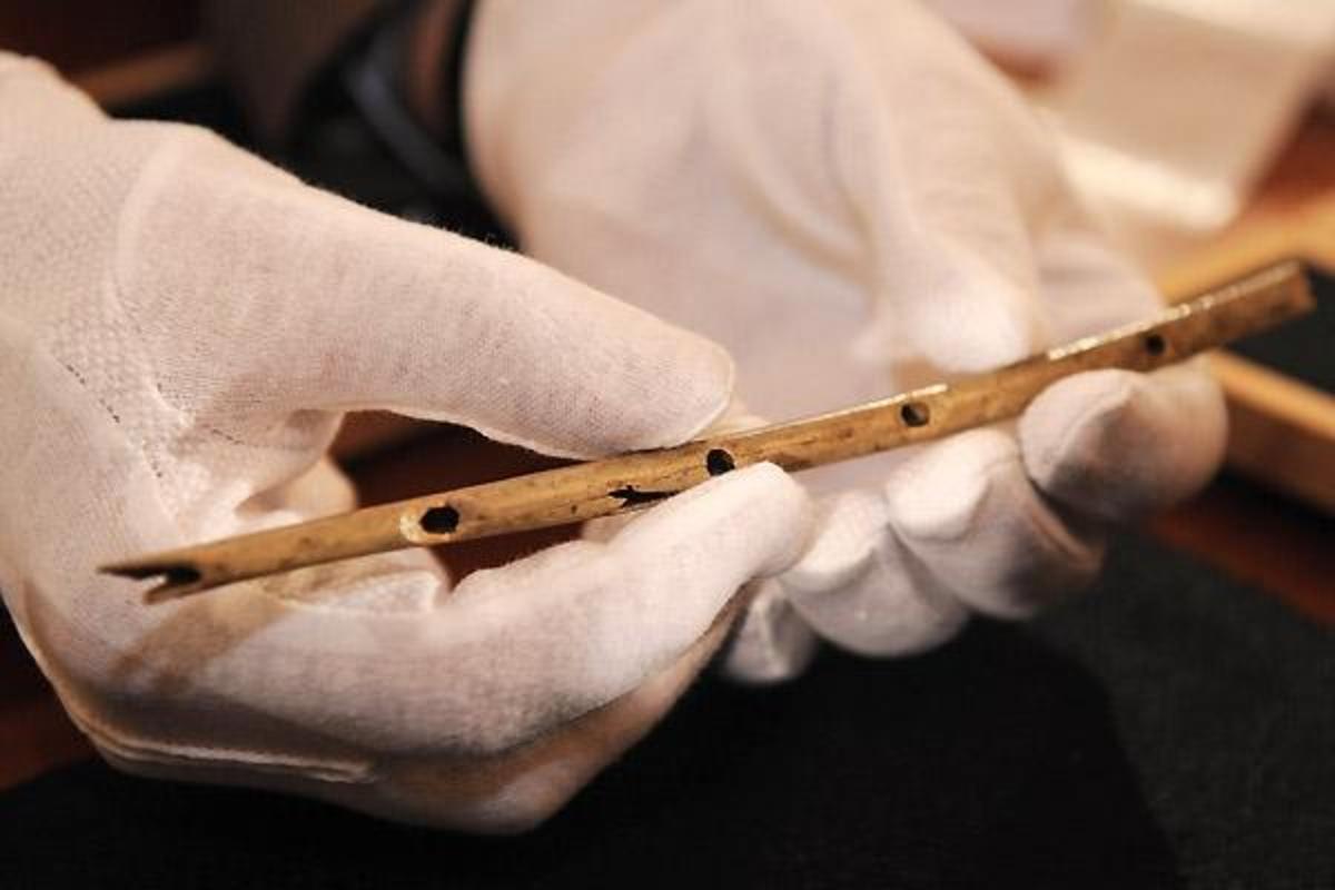 Worlds Oldest Musical Instruments Spinditty Images And Photos Finder