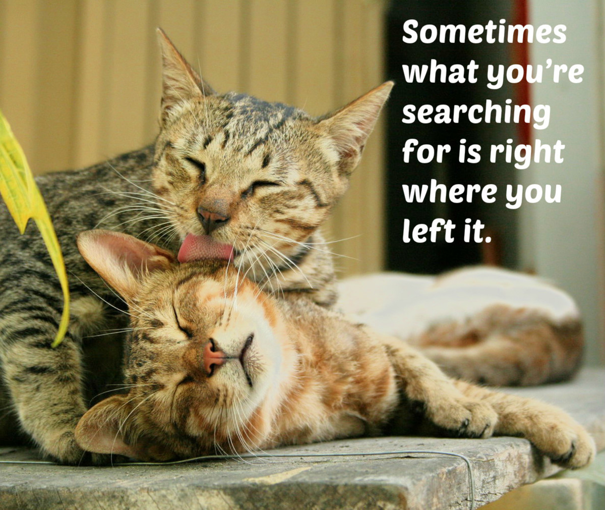 Sometimes what you’re searching for is right where you left it.