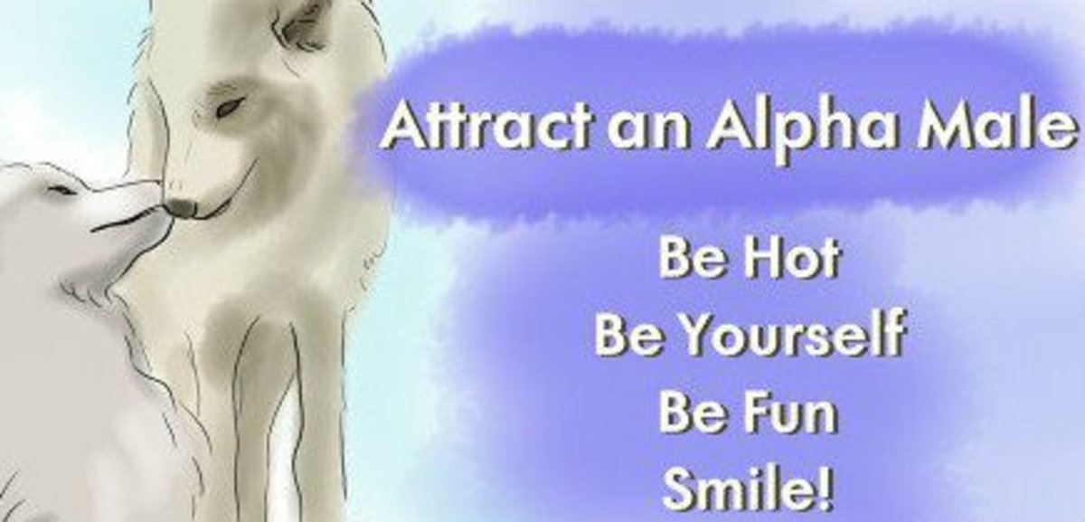 Ways you can attract an alpha male