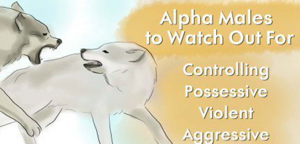 Alpha male traits to watch out for