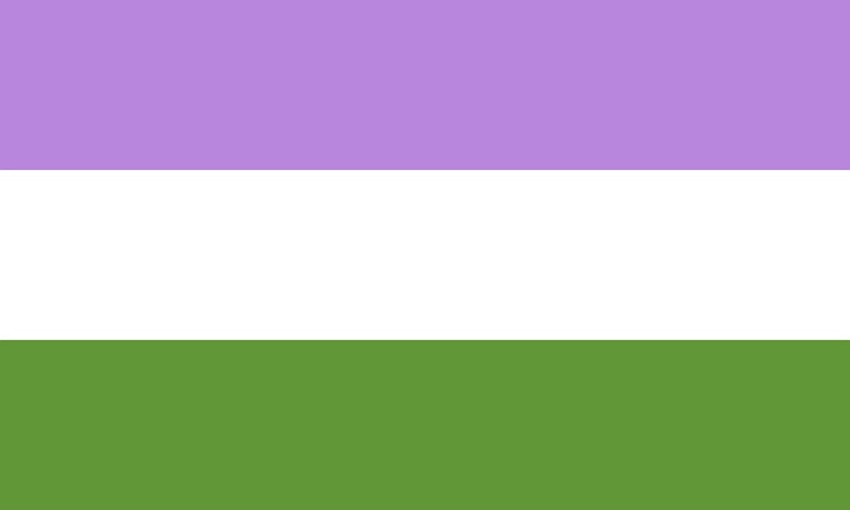 The genderqueer flag