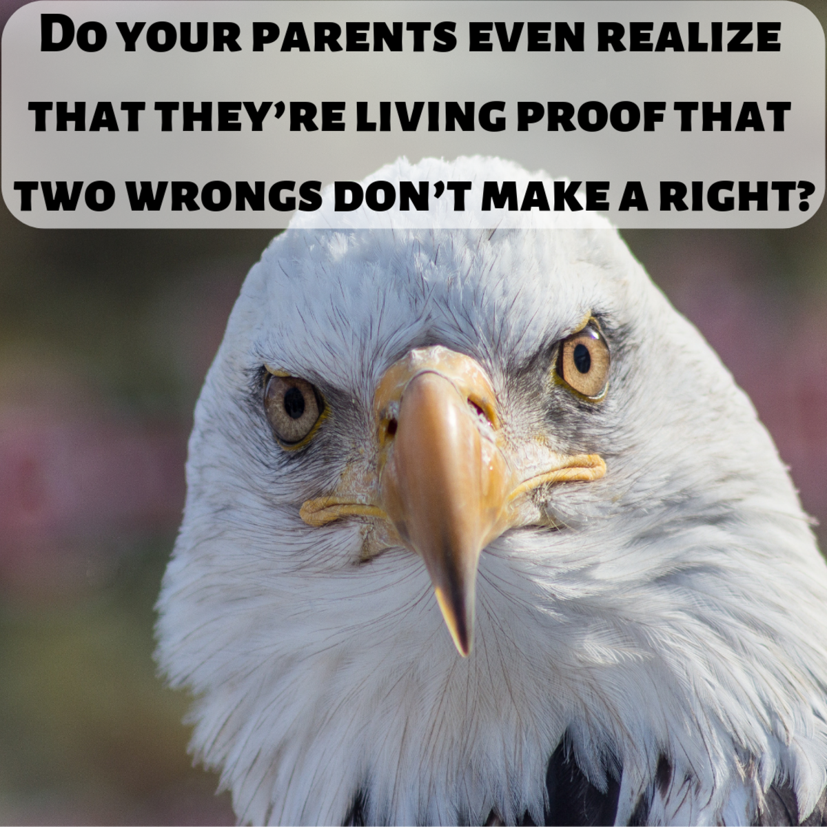 Do your parents realize that they're living proof that two wrongs don't make a right?