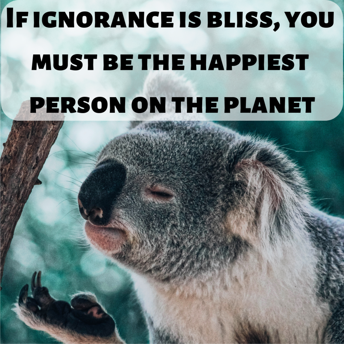 If ignorance is bliss, you must be the happiest person on the planet.