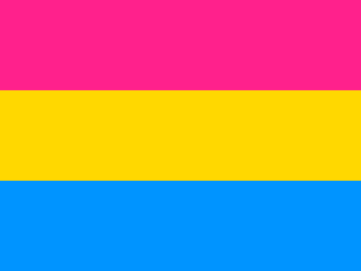 Bisexuality vs. Pansexuality What Is the Difference? HubPages — free download