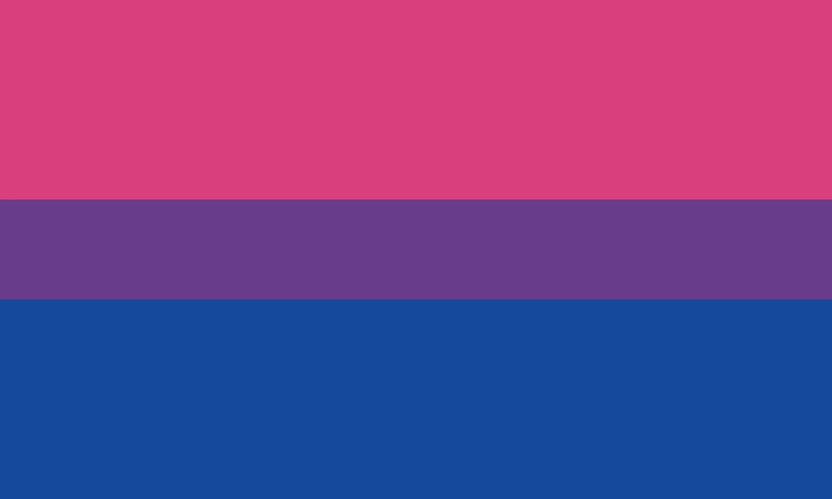 The Bi Pride flag