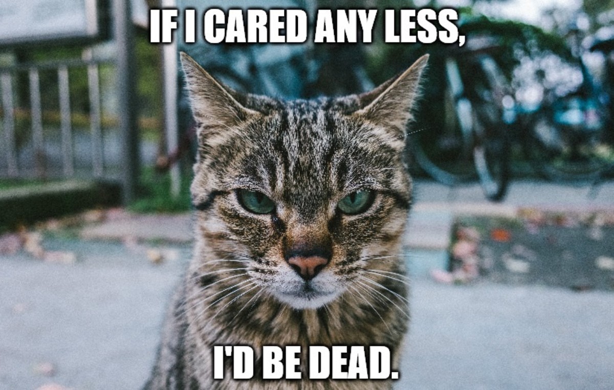 If I cared any less, I'd be dead.