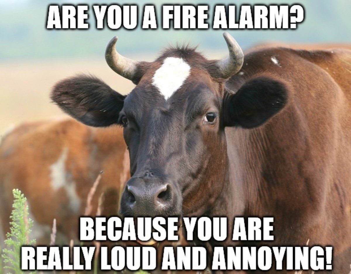"Are you a fire alarm? Because you are really loud and annoying!"