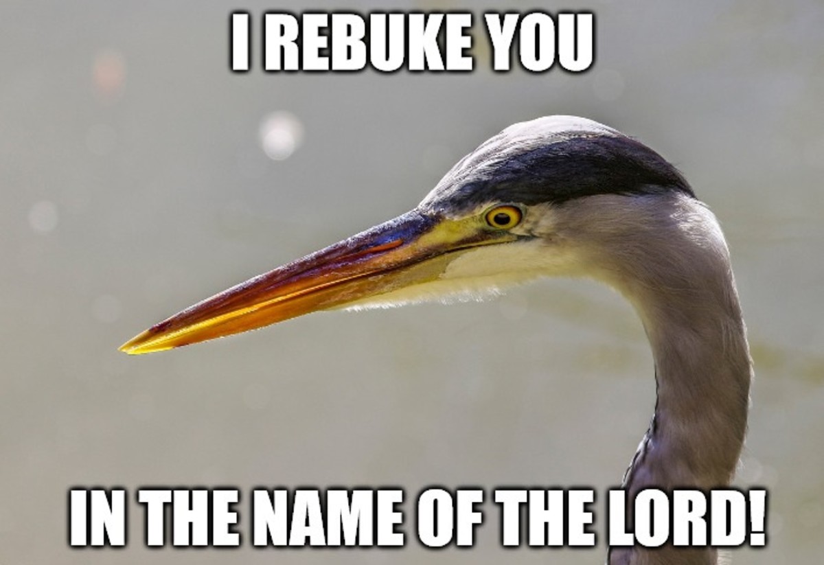 "I rebuke you in the name of the Lord!"