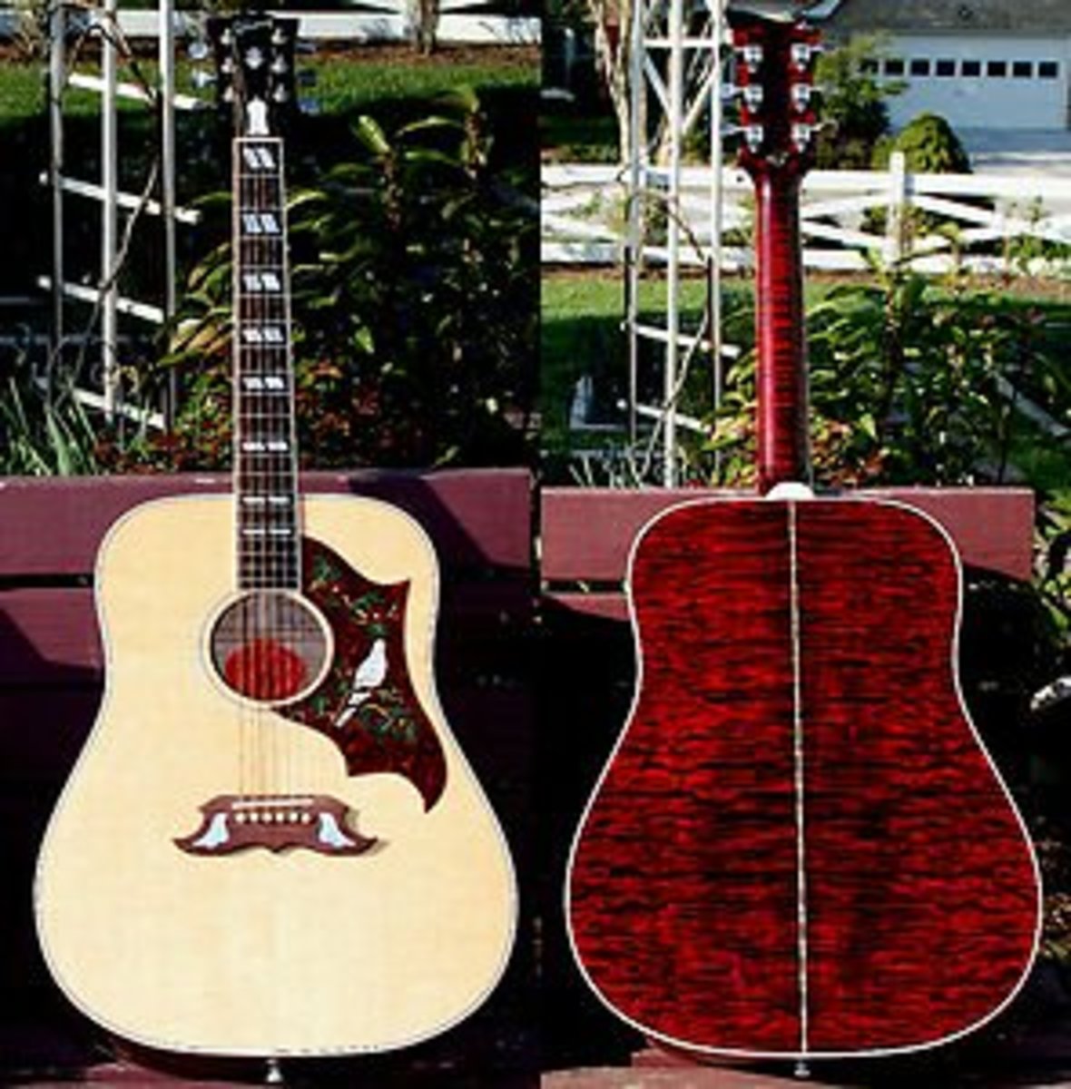 top-five-maple-body-dreadnought-guitars-for-serious-amateurs-or-professionals
