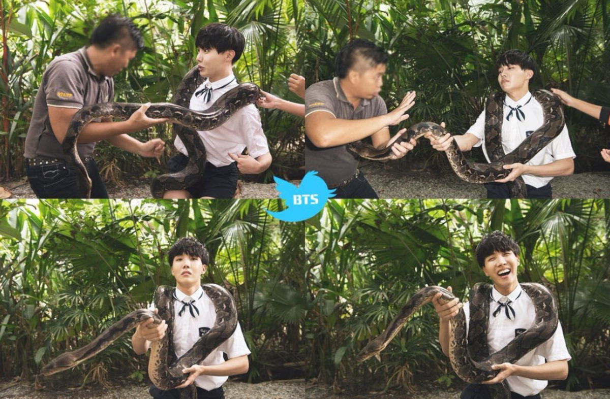 J-Hope and the snake.