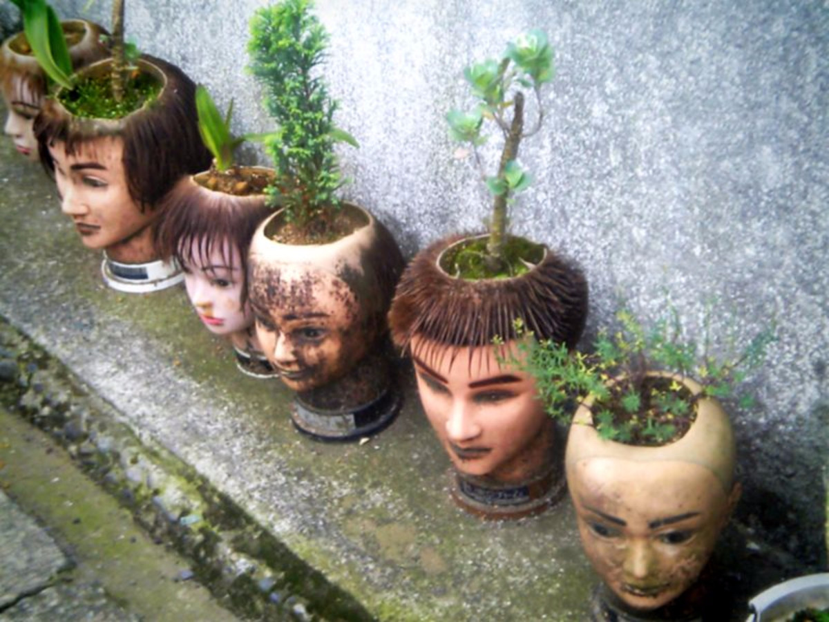 What else would you plant in a head-shaped planter?