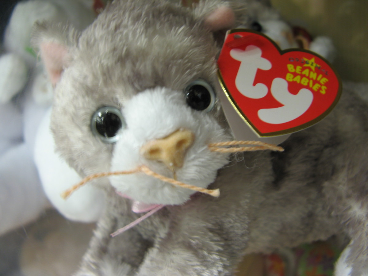 Beanie Babies, soft plush collectible toys, became a craze in the mid-1990s.  Both kids and adults collected them, and people would re-sell them for a much higher price on eBay.  By 1999, the craze began to subside.  Where are yours now?