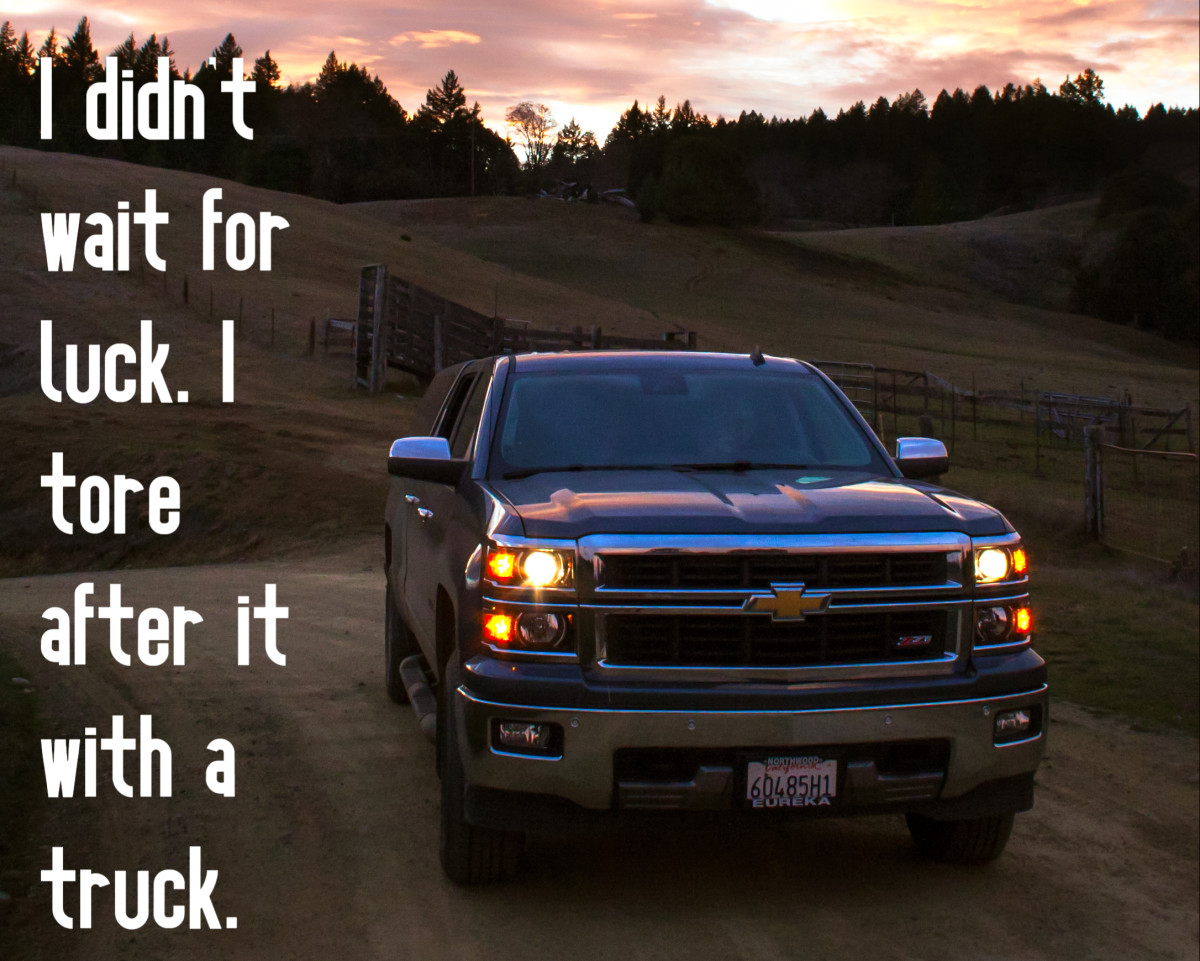 "I didn't wait for luck.  I tore after it with a truck." - A.A. Bell, author, from the book "Diamond Eyes"
