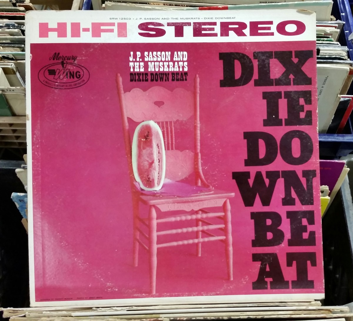 weird-thrift-store-records