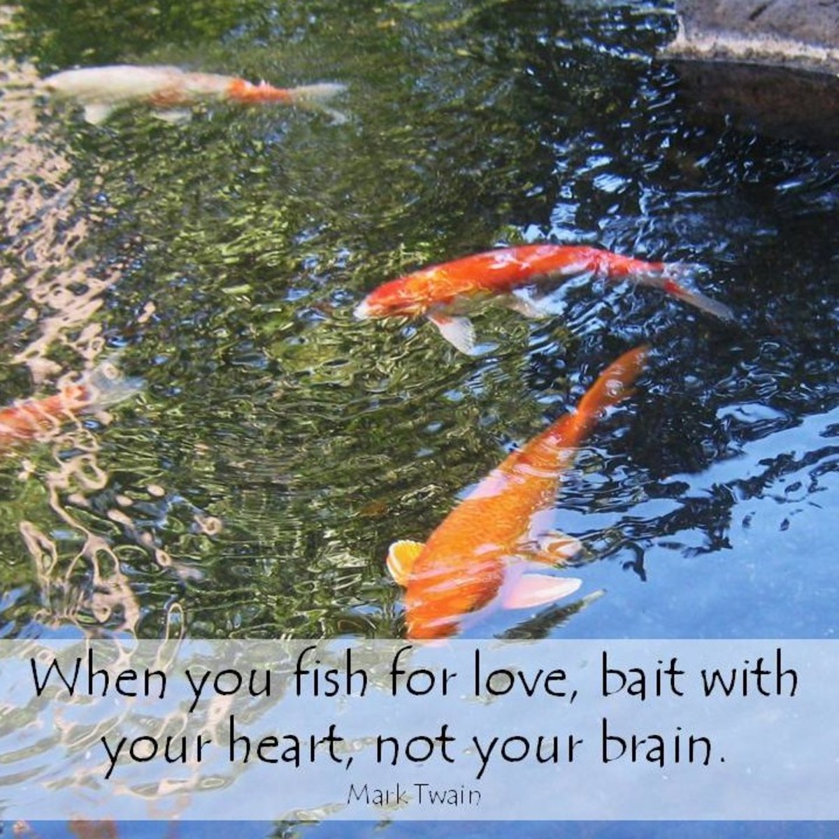 Sharing a romantic quote with your spouse is one way to say 'I love you!'