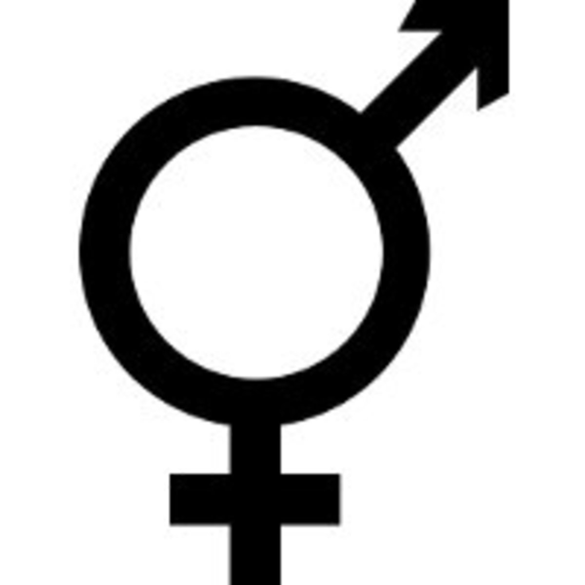 Modeling Sexual Identities Intersex Transgender And The Gender Binary