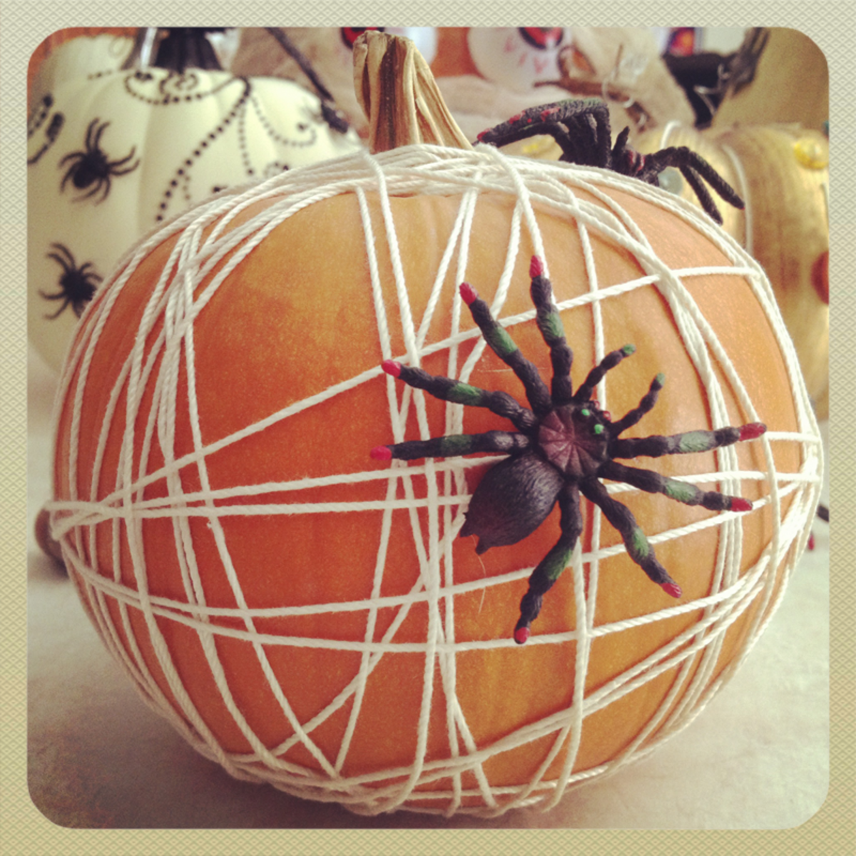 Spiderweb Pumpkin