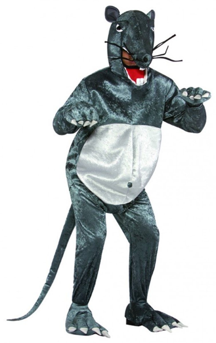 Rat costume